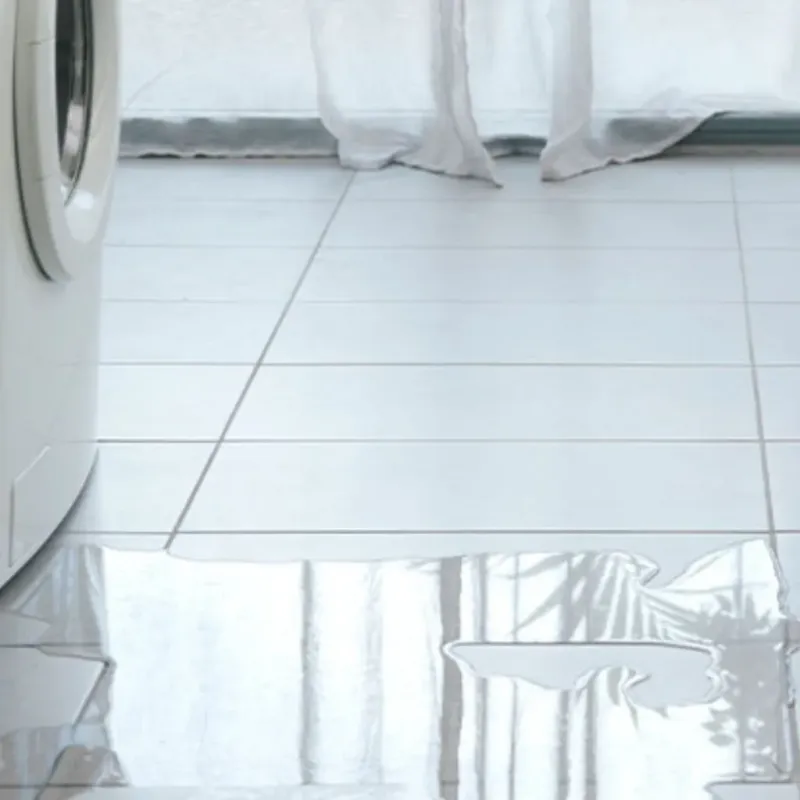 Appliance Leak Cleanup in Kouts, IN