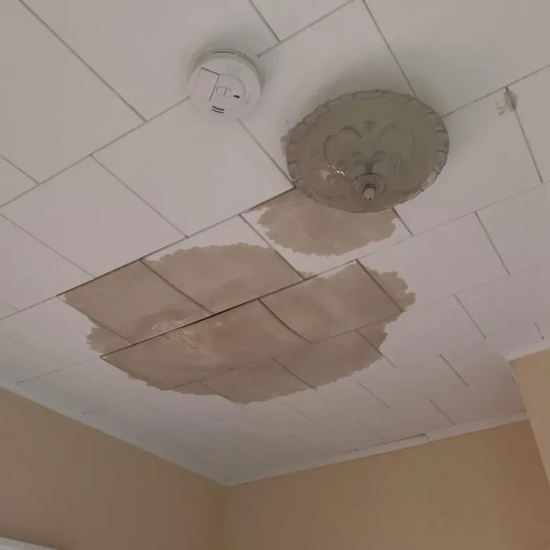 Ceiling Water Damage Repair in Kouts, IN