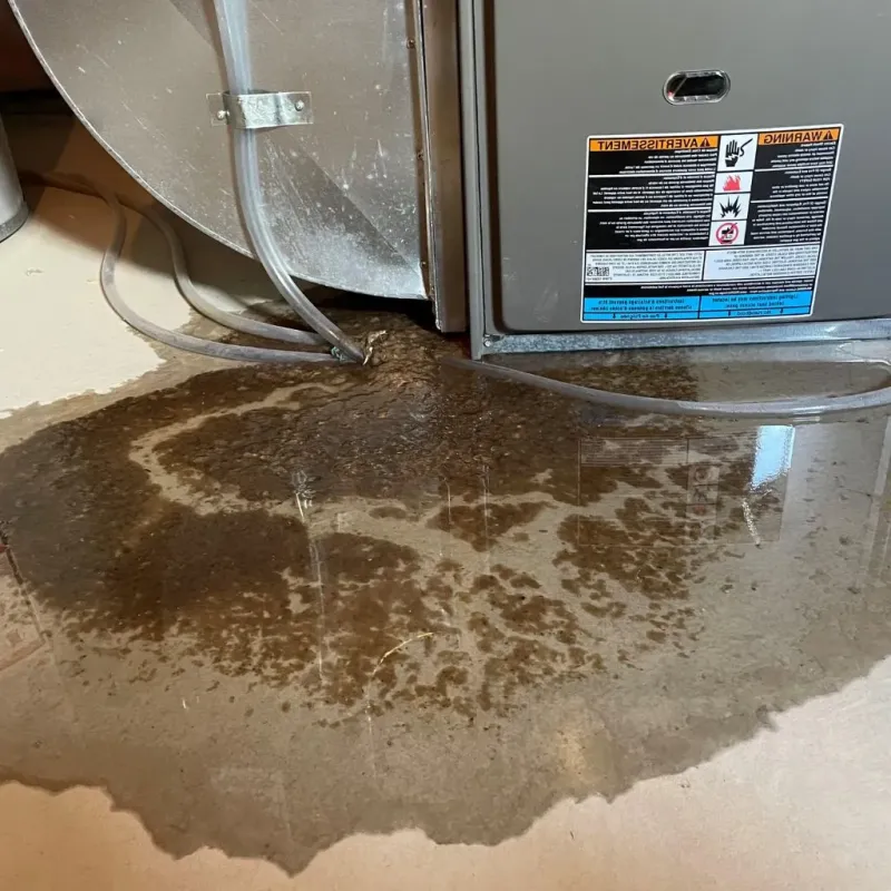 Pipe Burst and Leak Restoration in Kouts, IN